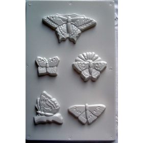 Gipszkiöntő lepkék /560093
